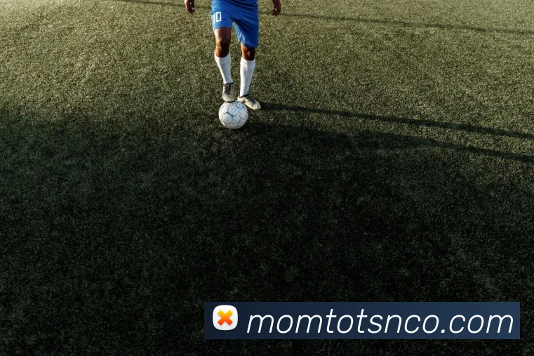 App Interface Preview